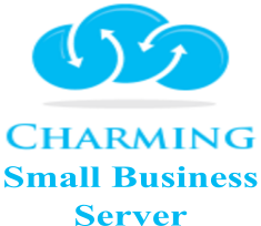 Charming Small Business Server inclluding Technical Support, Wordpress, Email Server, Webmail and more